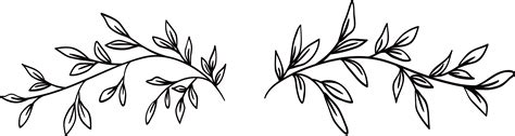 Flowering weeds growing on barbed wire fence, close up. . Vine clipart black and white